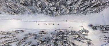 跨部门团队活动与培训